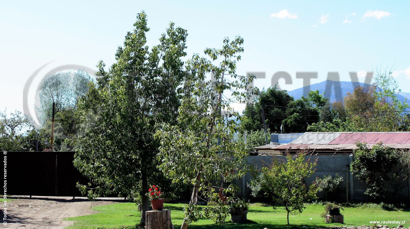 Casa en venta en San Esteban — foto 1