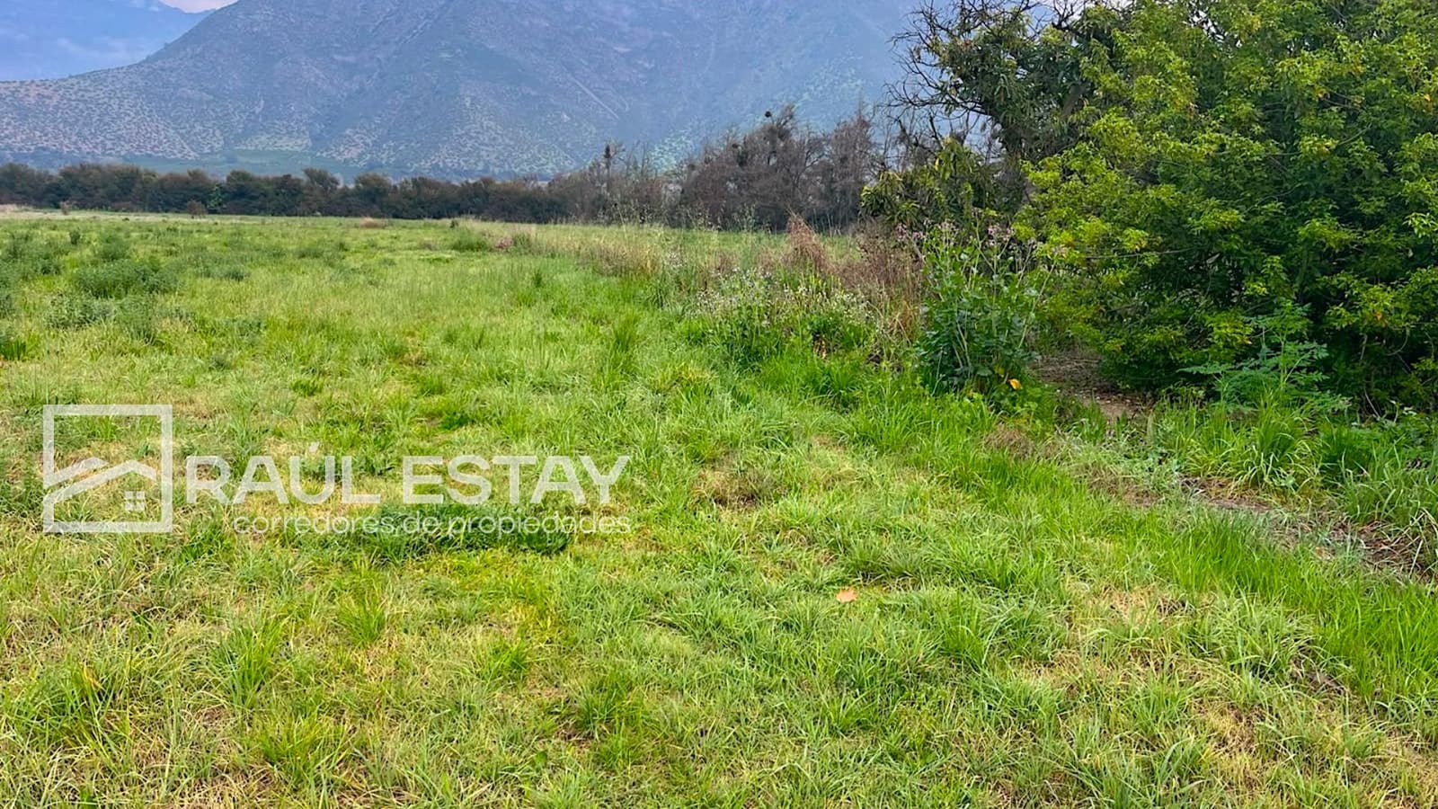 Parcela en venta en Catemu — foto 6