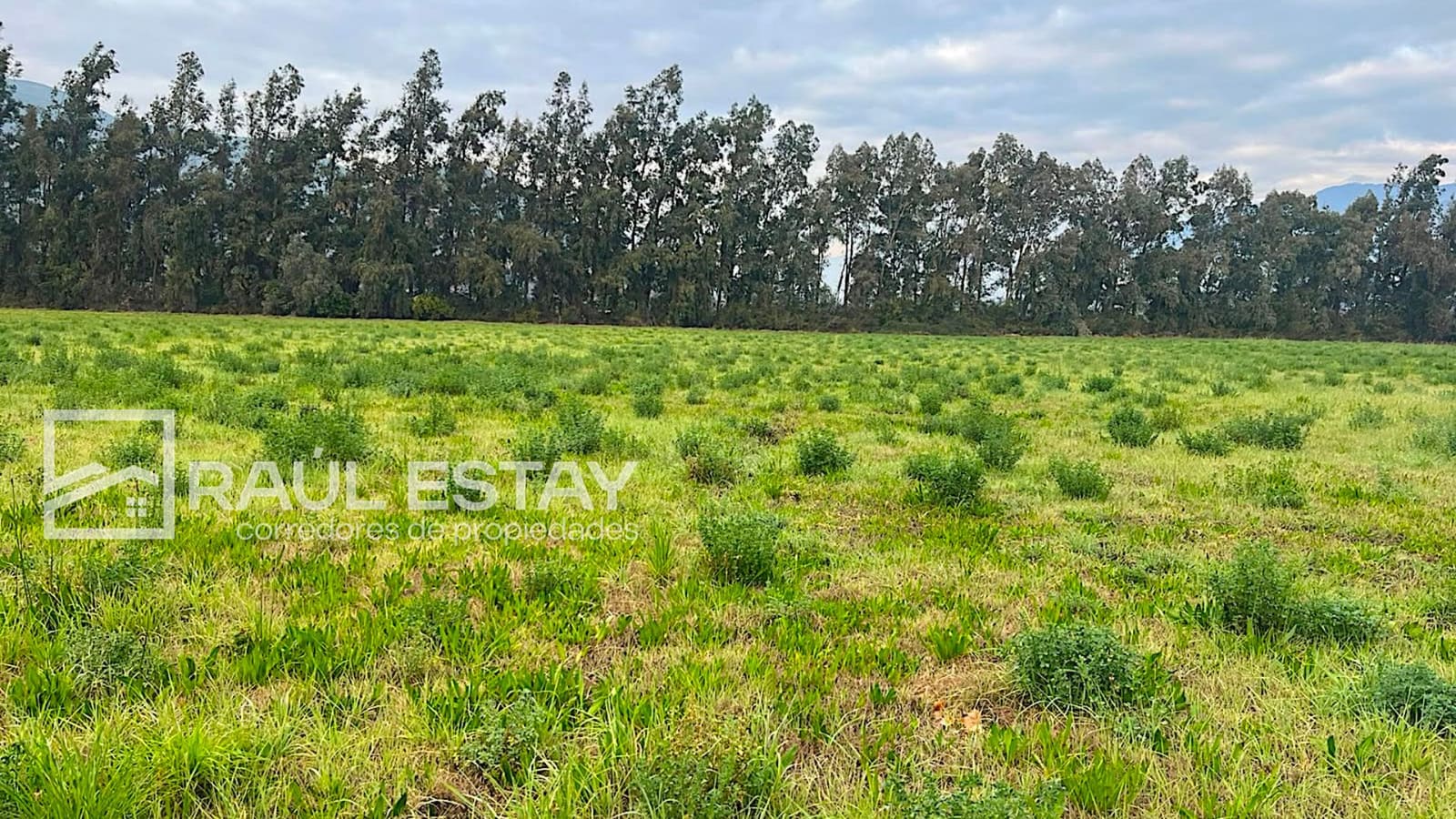 Parcela en venta en Catemu — foto 7
