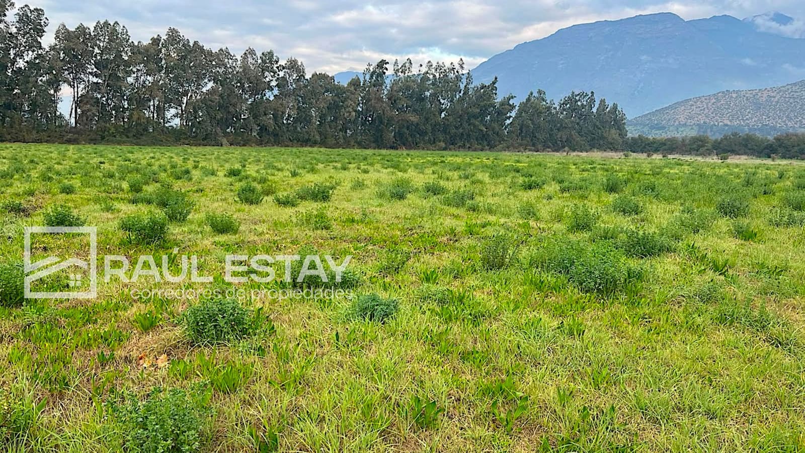 Parcela en venta en Catemu — foto 8