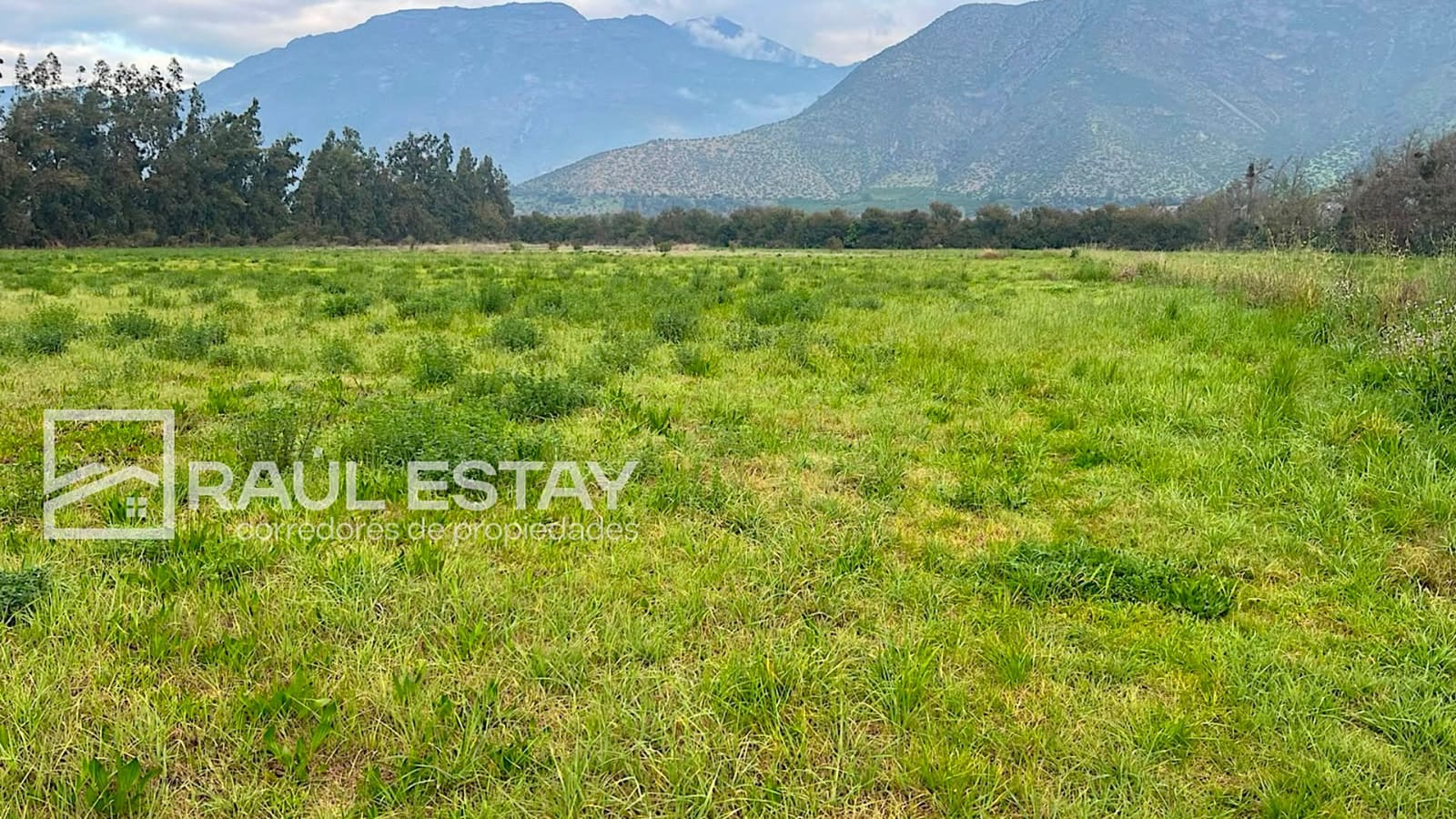Parcela en venta en Catemu — foto 9