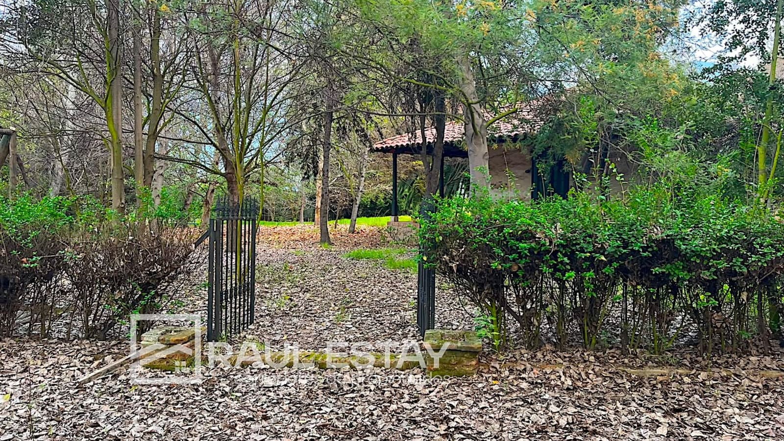 Parcela en venta en Catemu — foto 10