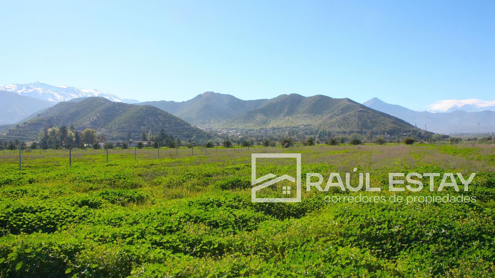 Terreno en venta en San Felipe — foto 10