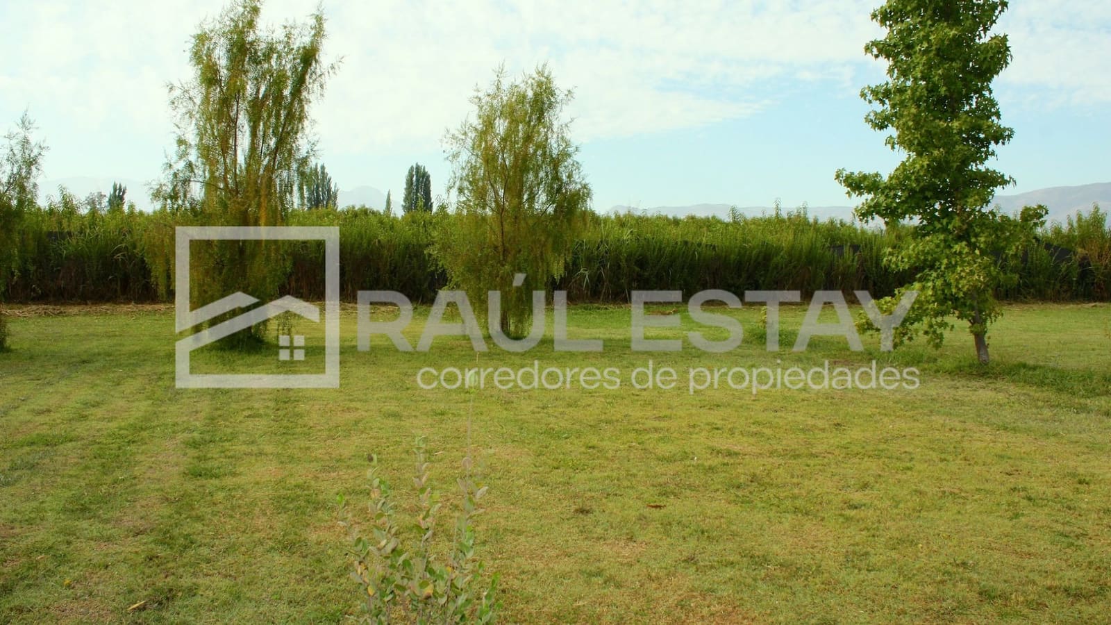 Terreno en venta en San Felipe — foto 4