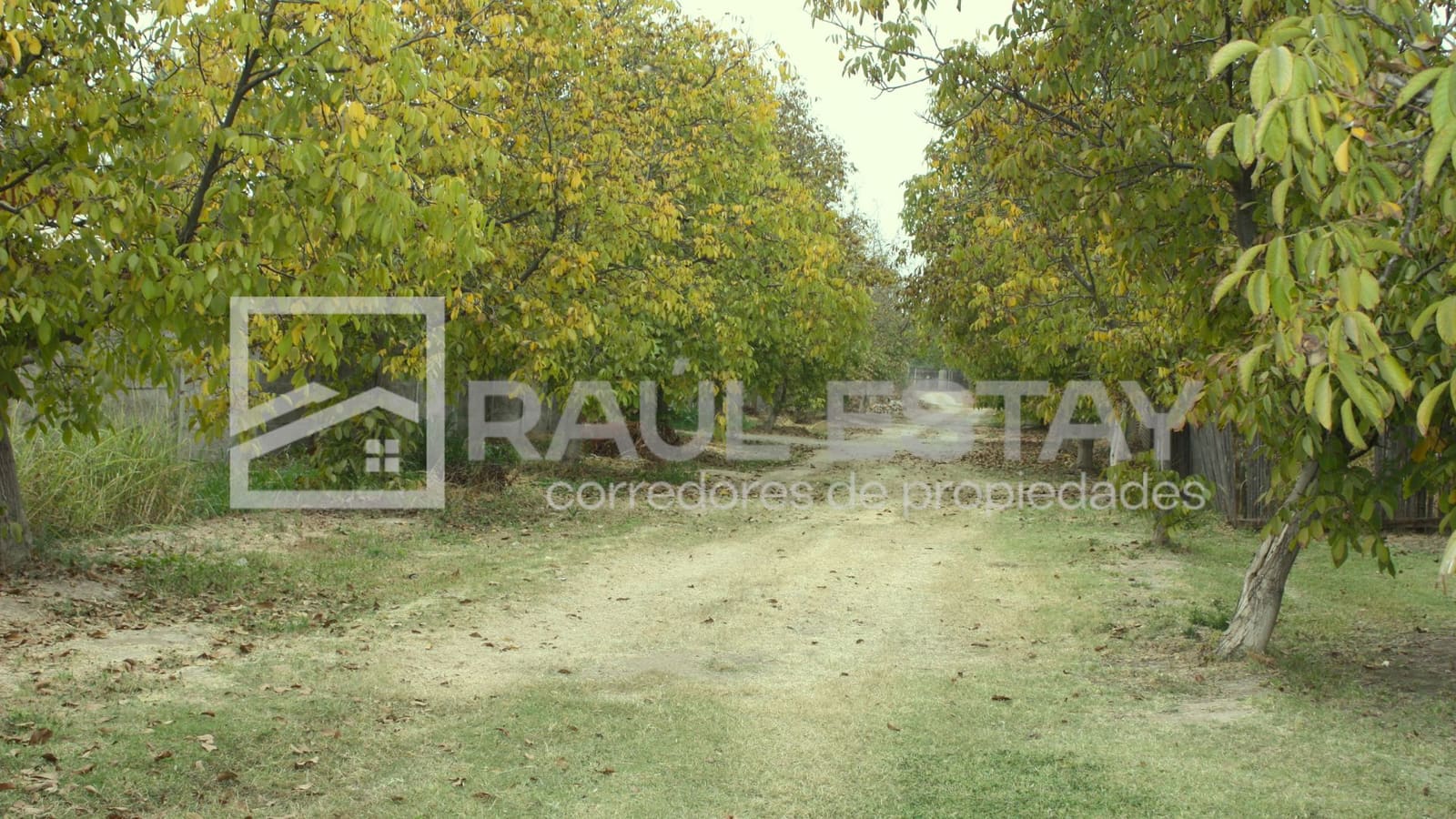 Terreno en venta en San Felipe — foto 5