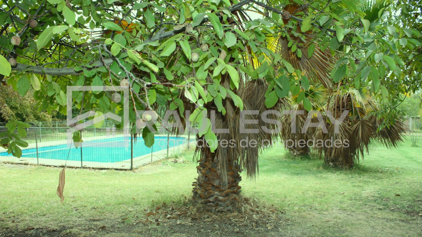Terreno en venta en San Felipe — foto 8