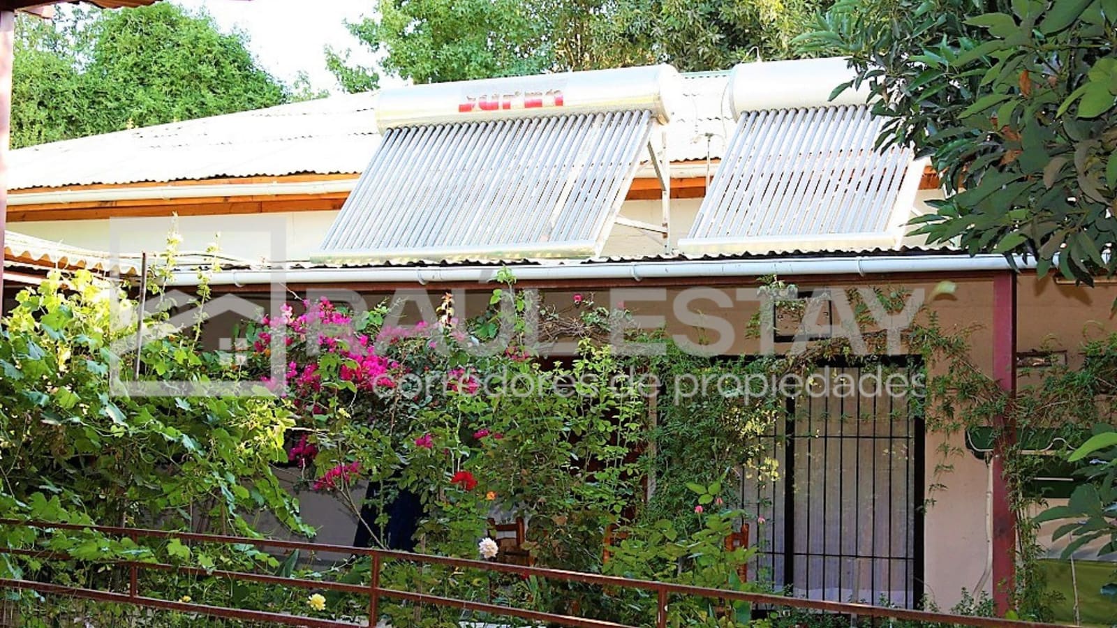Casa en venta en San Felipe — foto 3