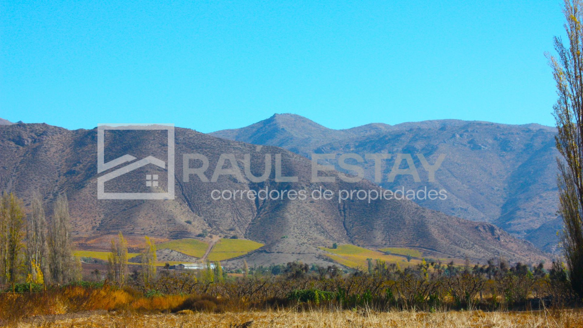 Terreno en venta en Rinconada — foto 5