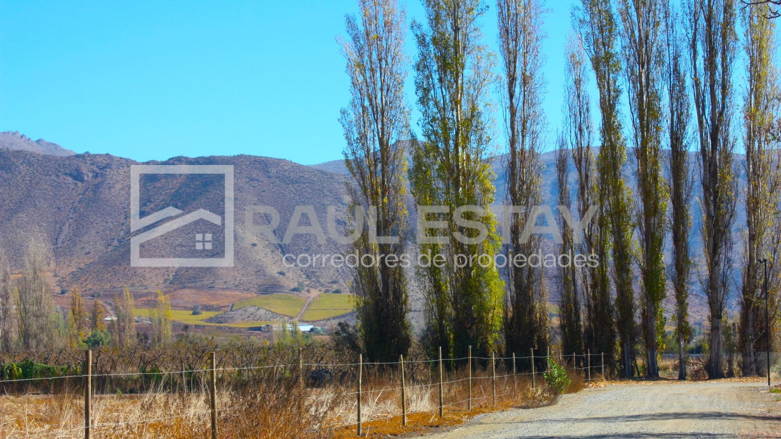 Terreno en venta en Rinconada — foto 9