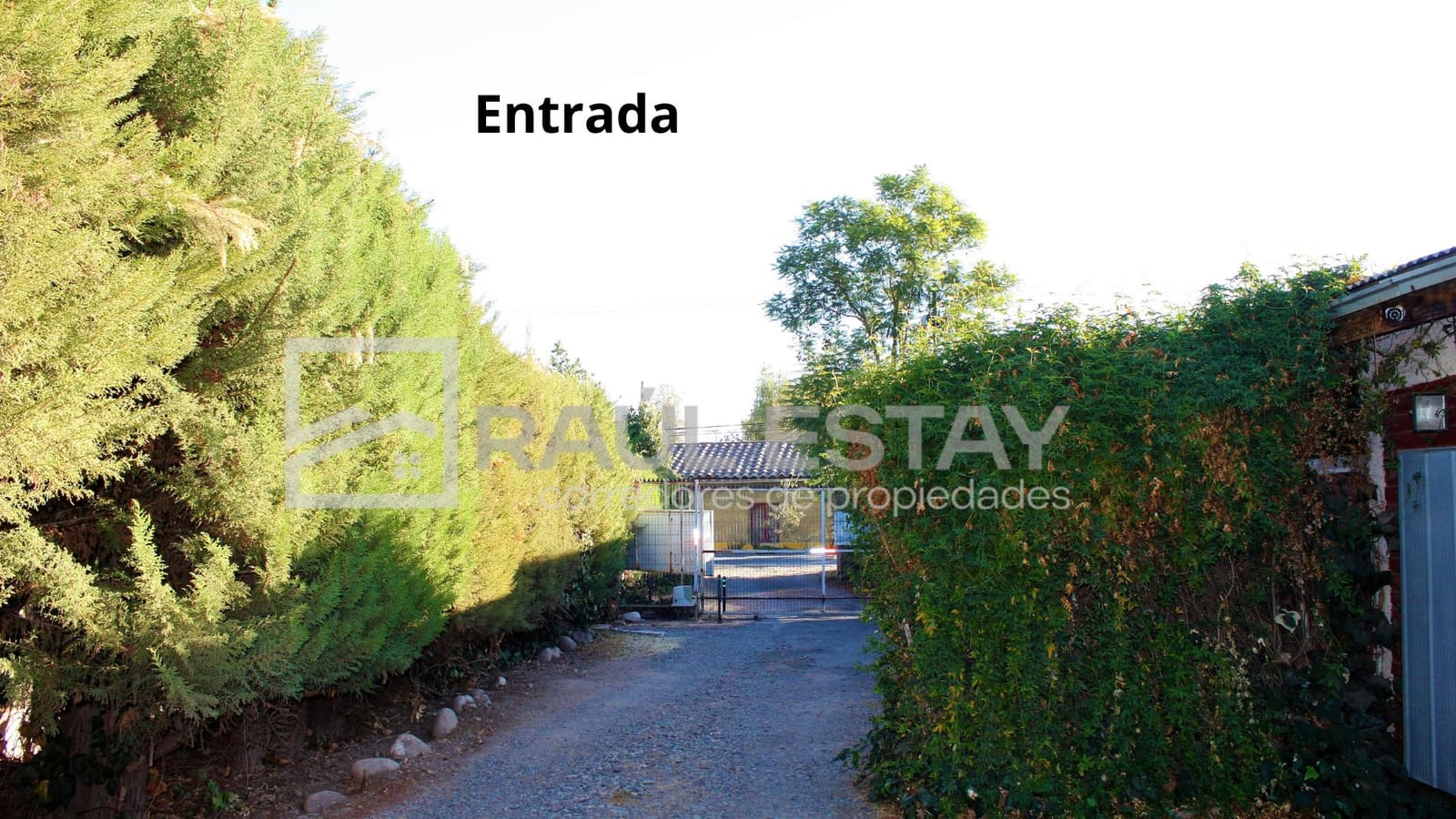 Local comercial en venta en Calle Larga — foto 3