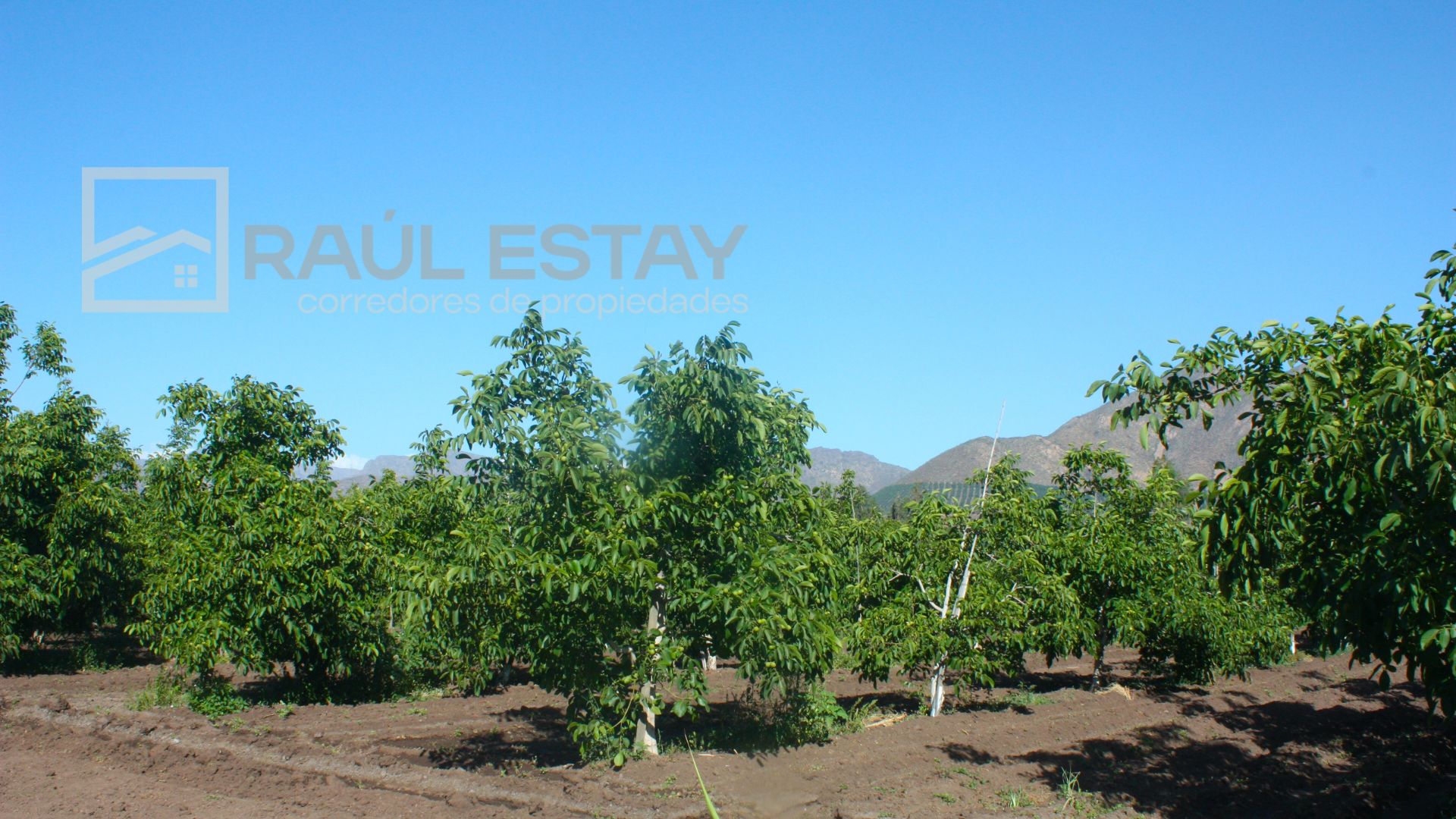 Parcela en venta en Llaillay — foto 1