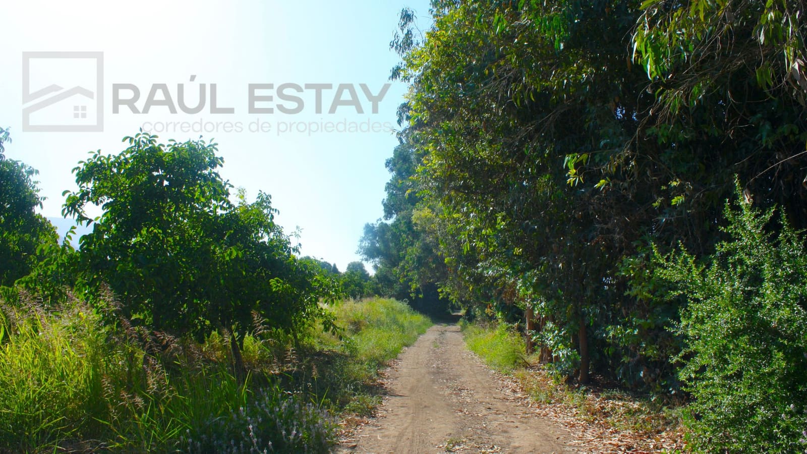 Parcela en venta en Llaillay — foto 4