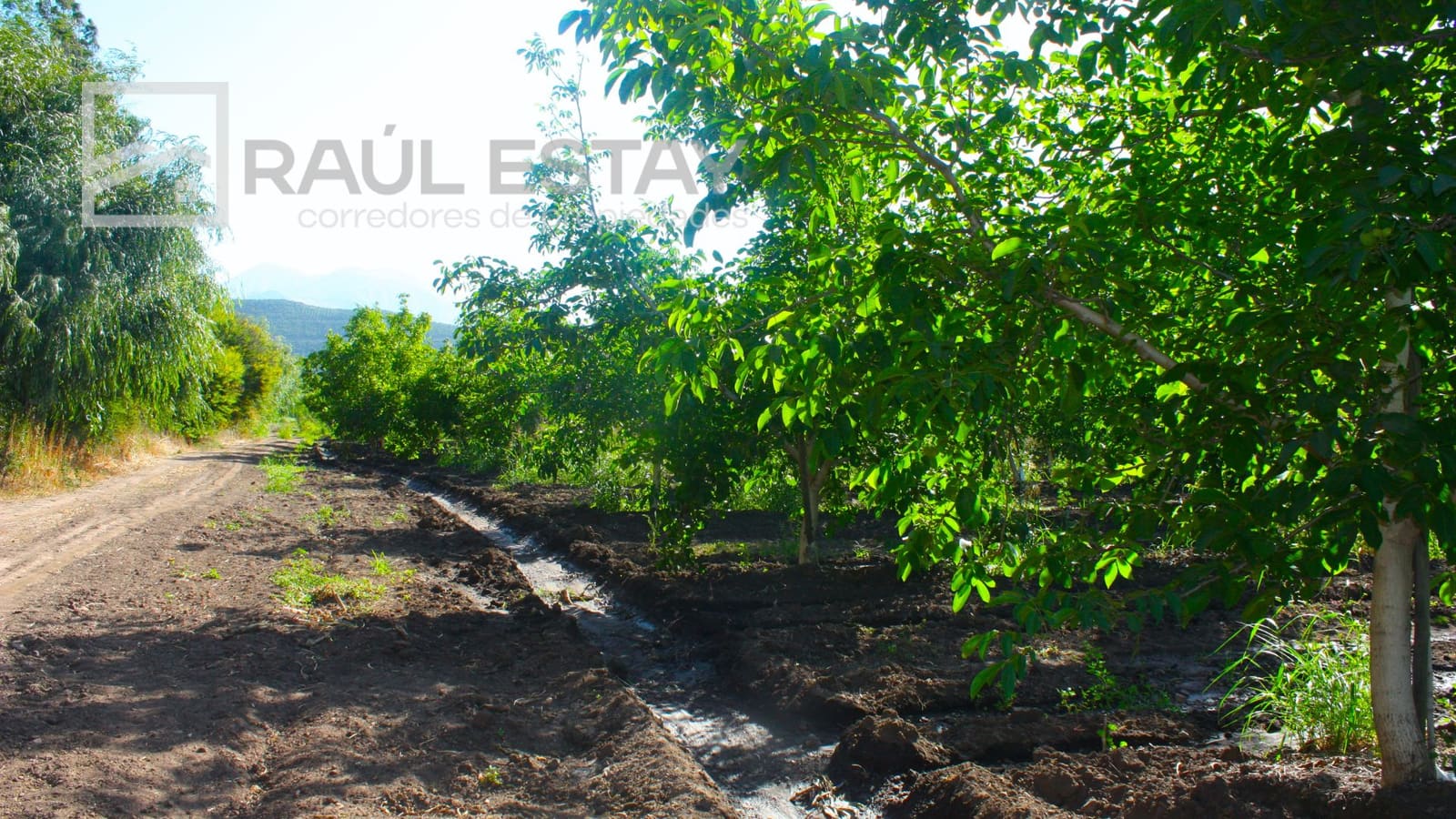 Parcela en venta en Llaillay — foto 7
