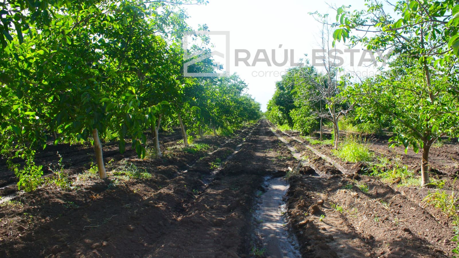 Parcela en venta en Llaillay — foto 8