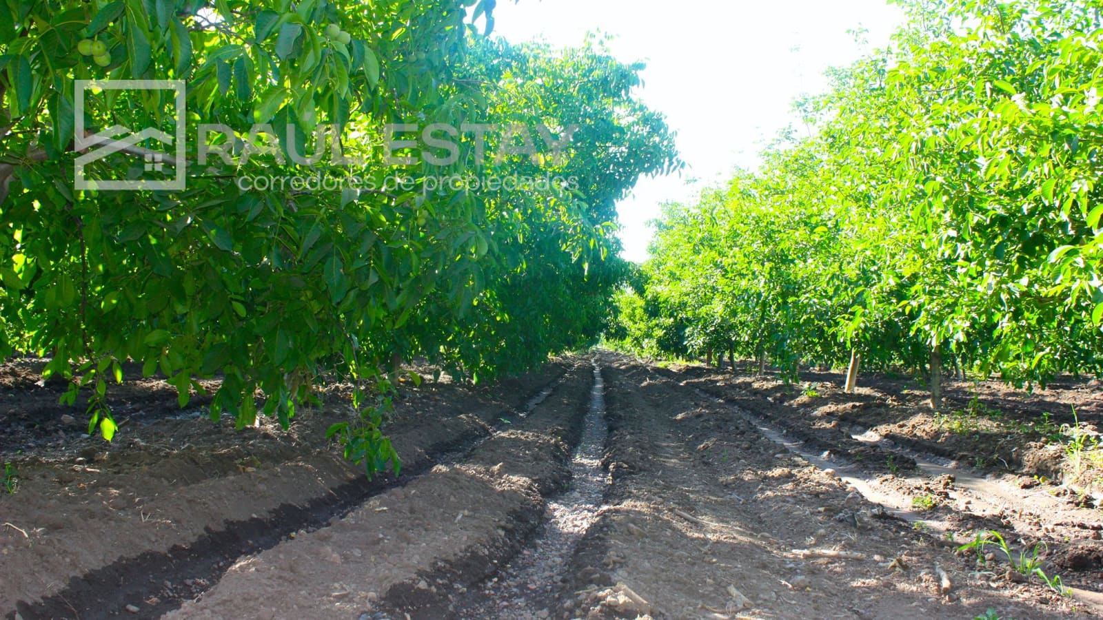 Parcela en venta en Llaillay — foto 9