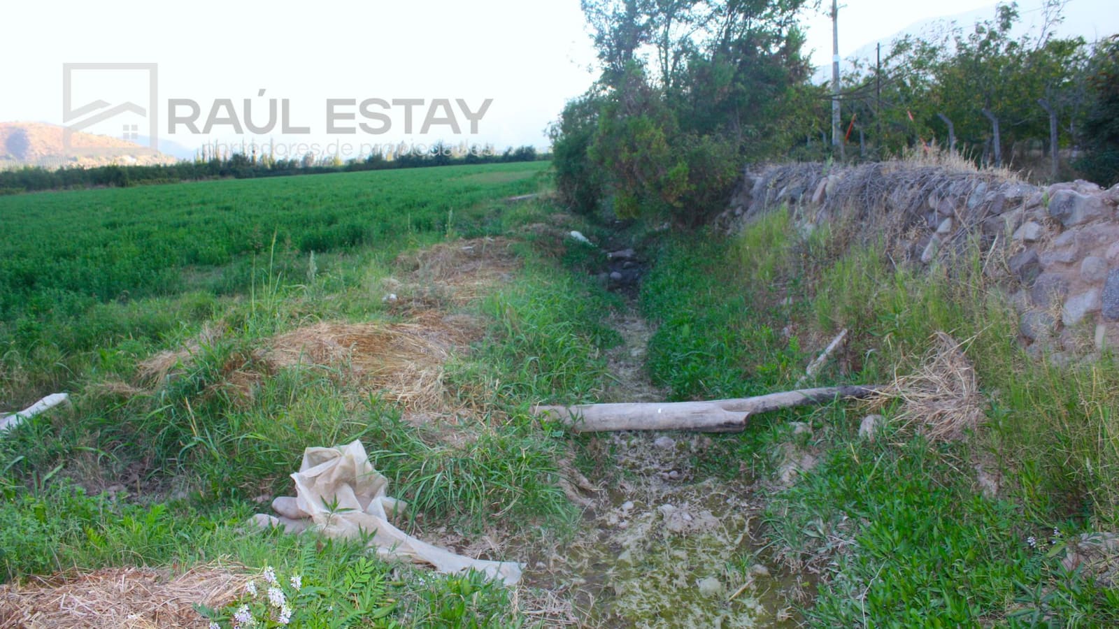 Parcela en venta en Catemu — foto 4