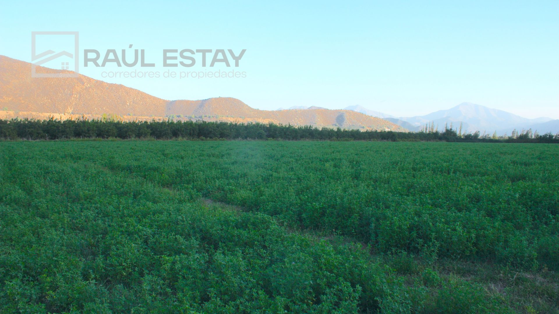 Parcela en venta en Catemu — foto 6