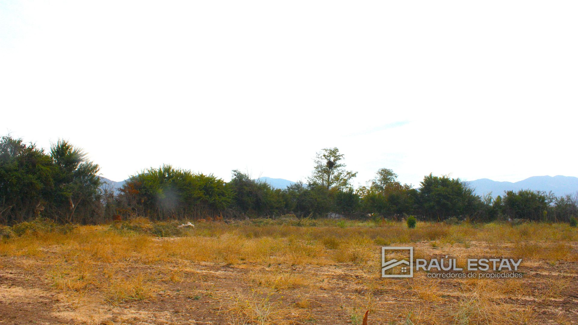 Terreno en venta en Nogales — foto 5