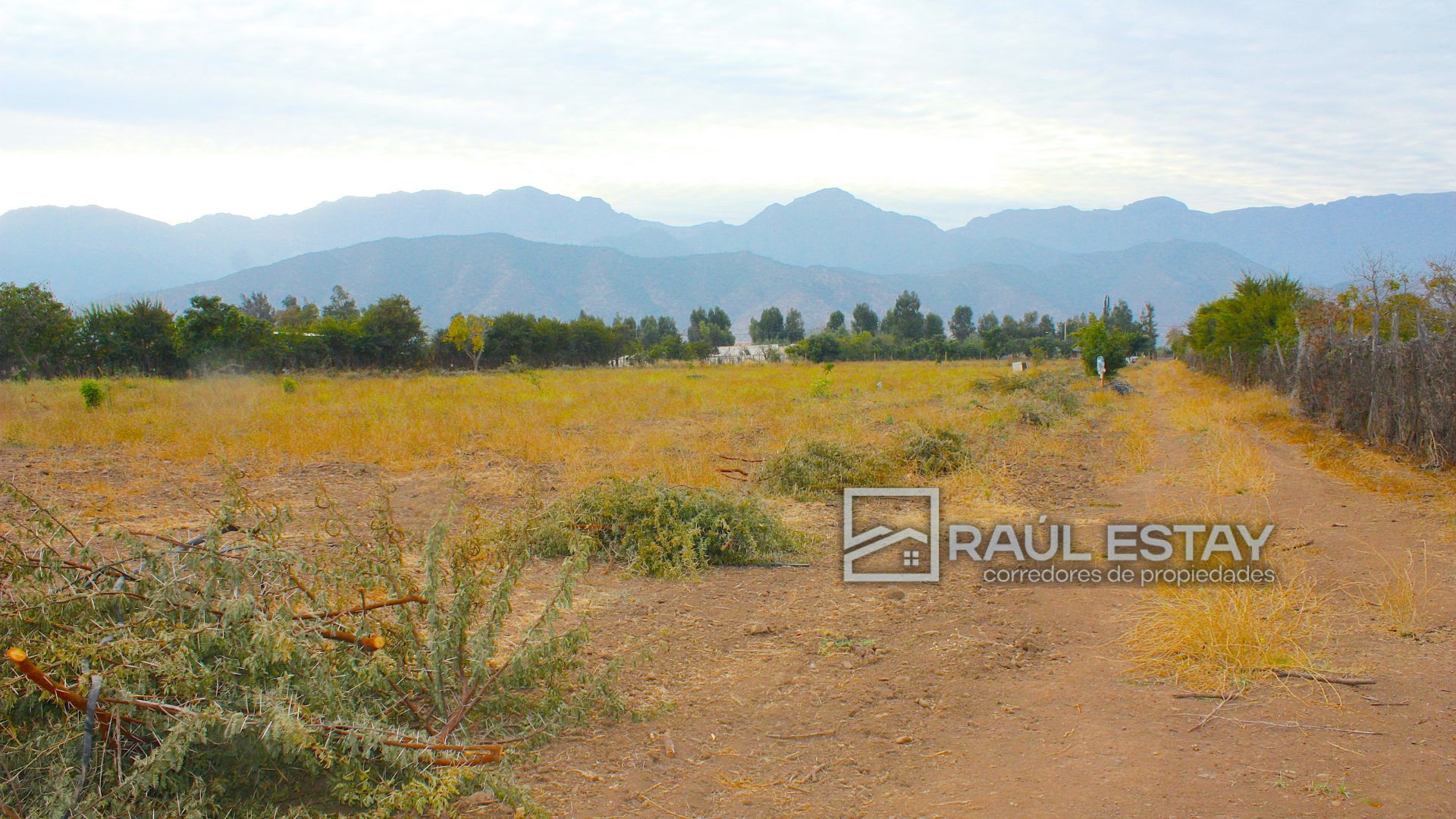 Terreno en venta en Nogales — foto 6
