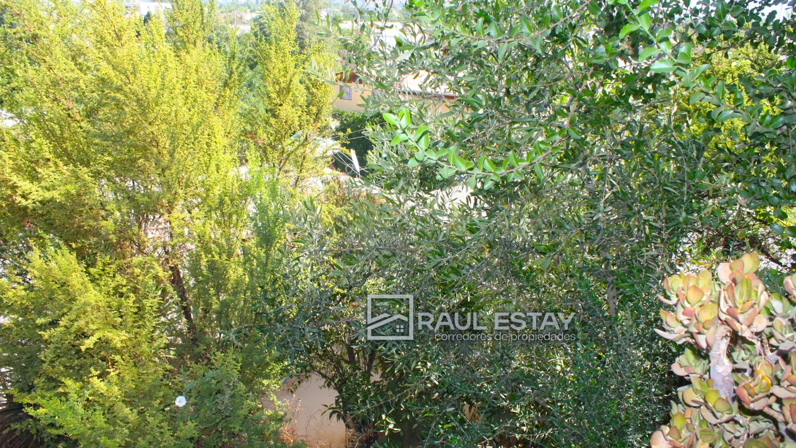 Terreno en venta en Los Andes — foto 7