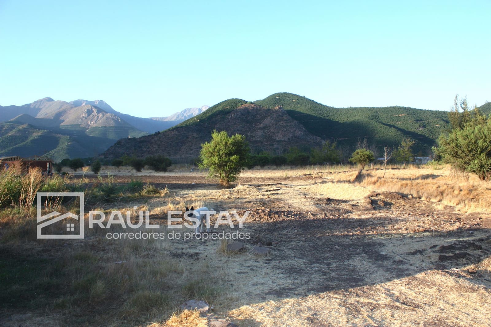 Terreno en venta en Llaillay — foto 6