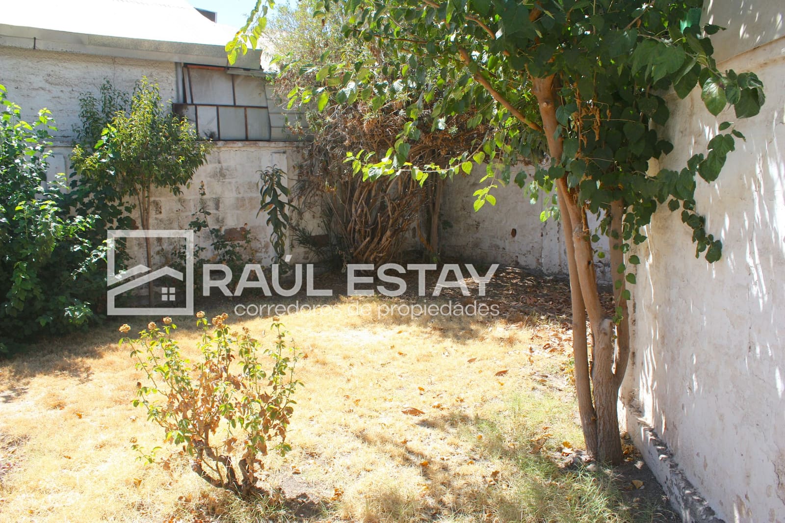 Casa en venta en San Felipe — foto 3