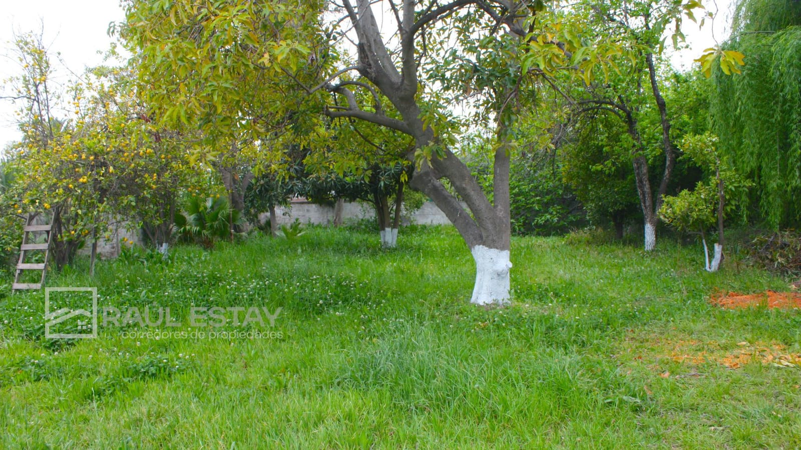 Casa en venta en Los Andes — foto 7