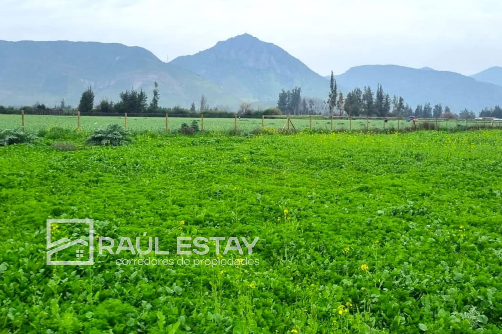 Terreno en venta en Llaillay — foto 1