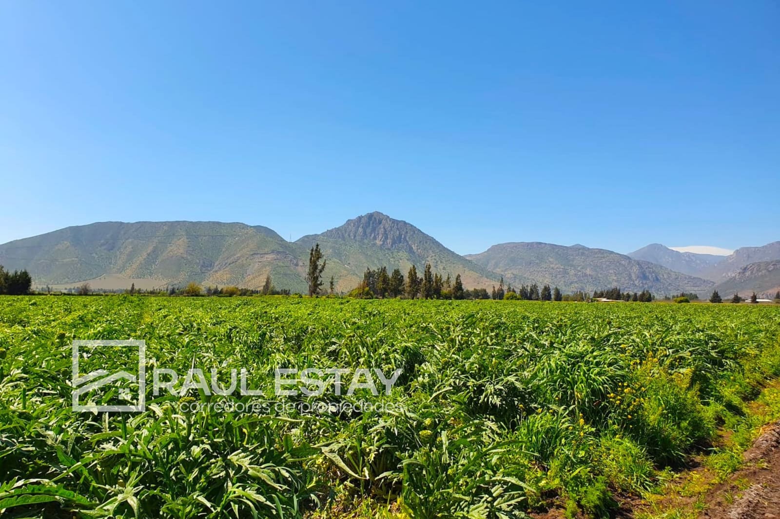 Terreno en venta en Llaillay — foto 2