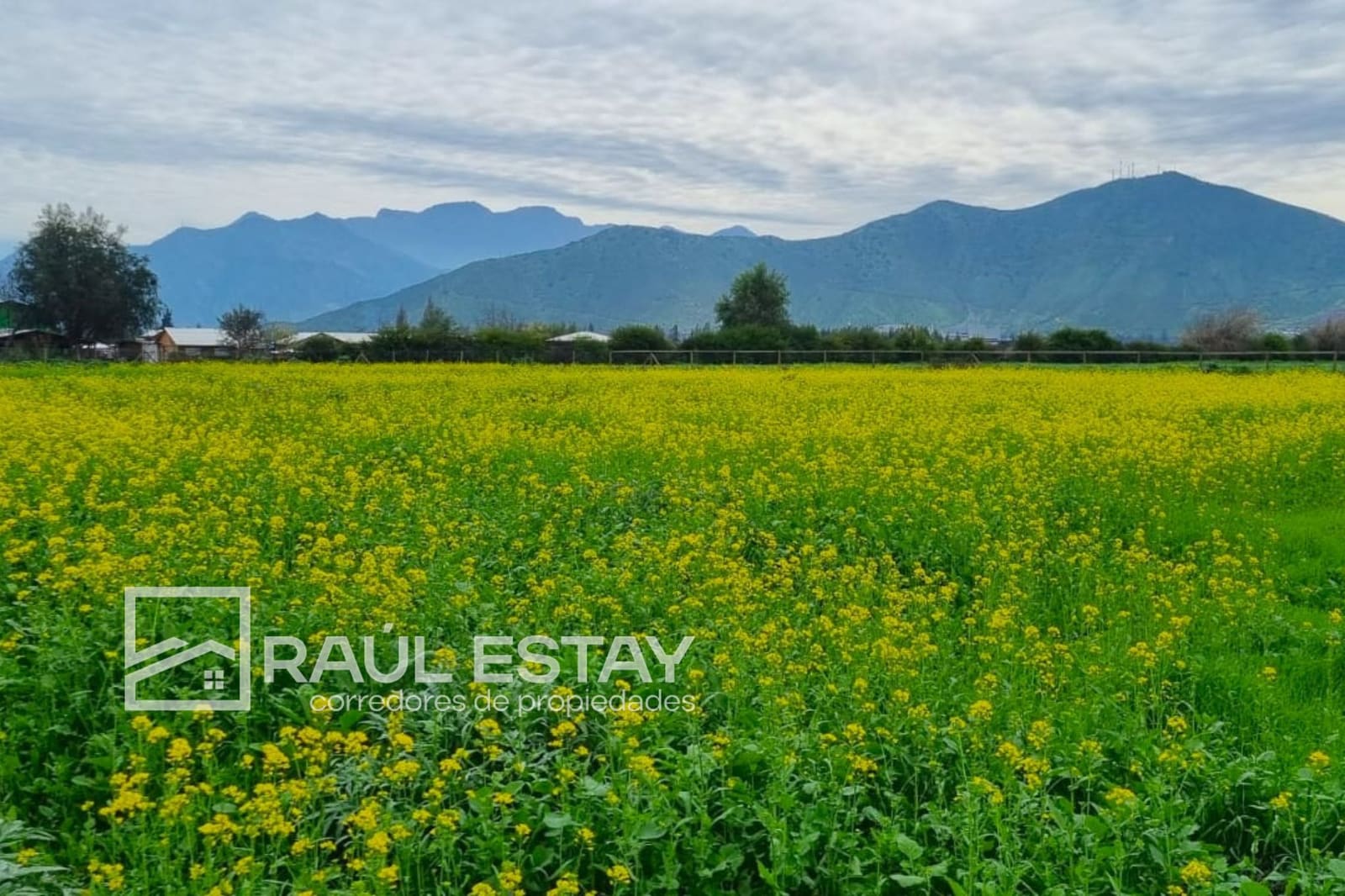 Terreno en venta en Llaillay — foto 3