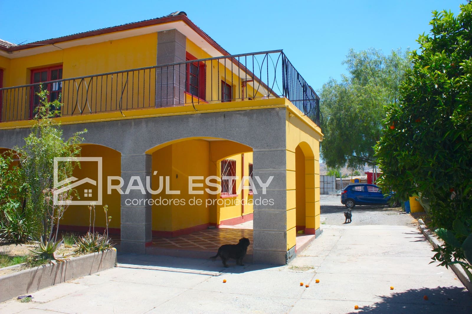 Casa en arriendo en San Felipe — foto 2