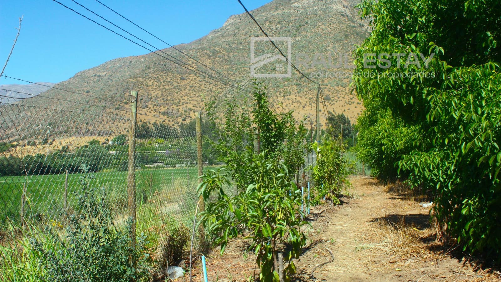 Casa en venta en Catemu — foto 4