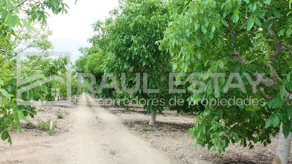 Terreno en venta en Catemu — foto 3