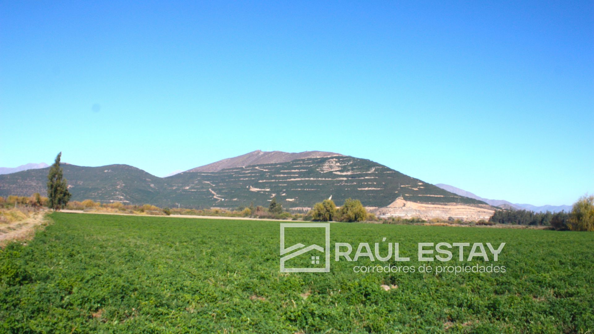Parcela en venta en Catemu — foto 4