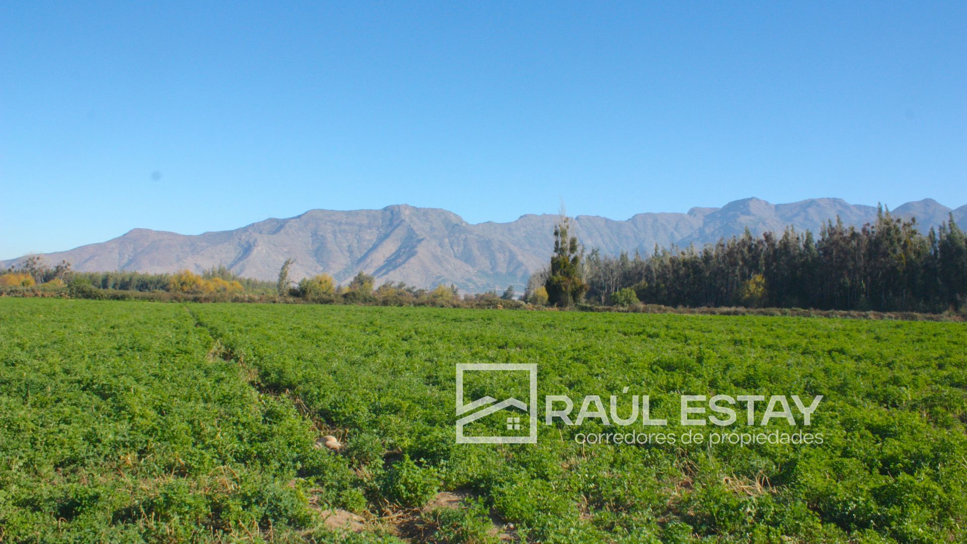 Parcela en venta en Catemu — foto 5