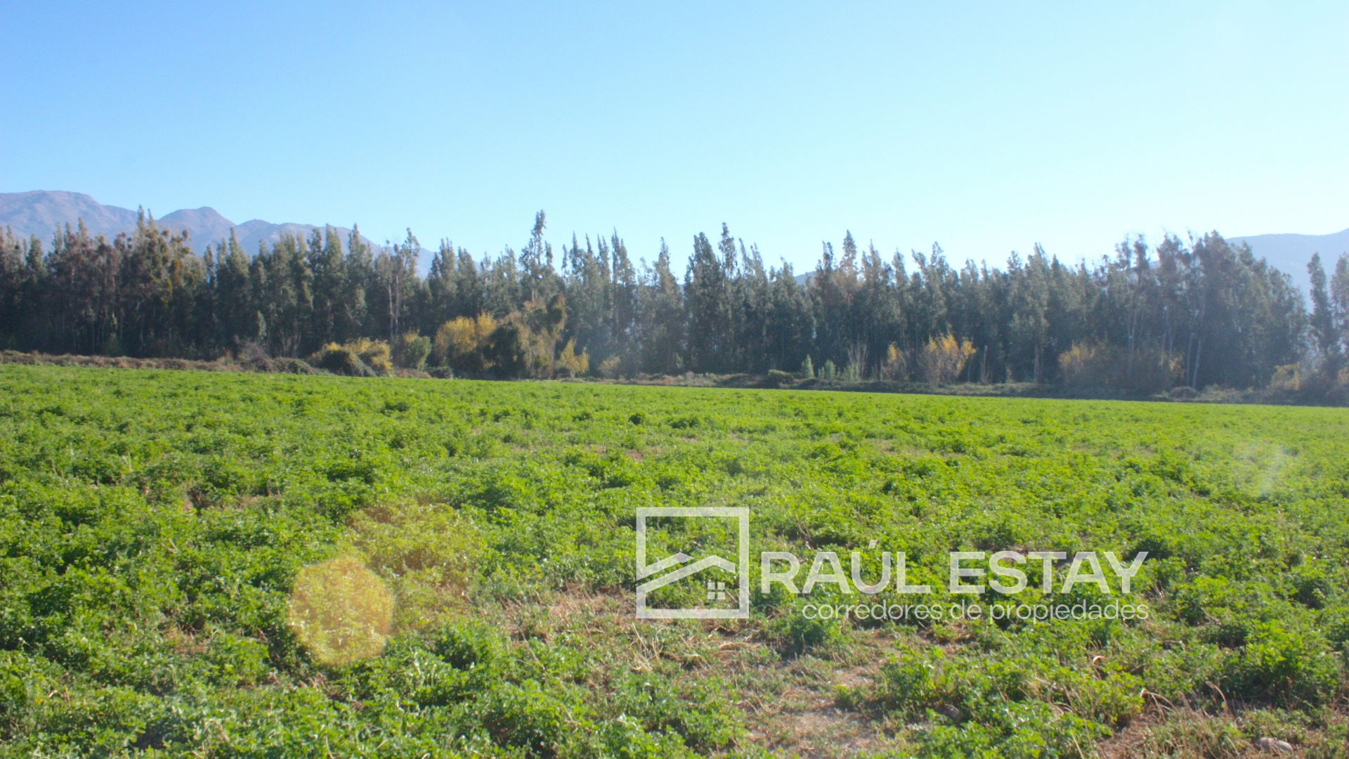 Parcela en venta en Catemu — foto 6