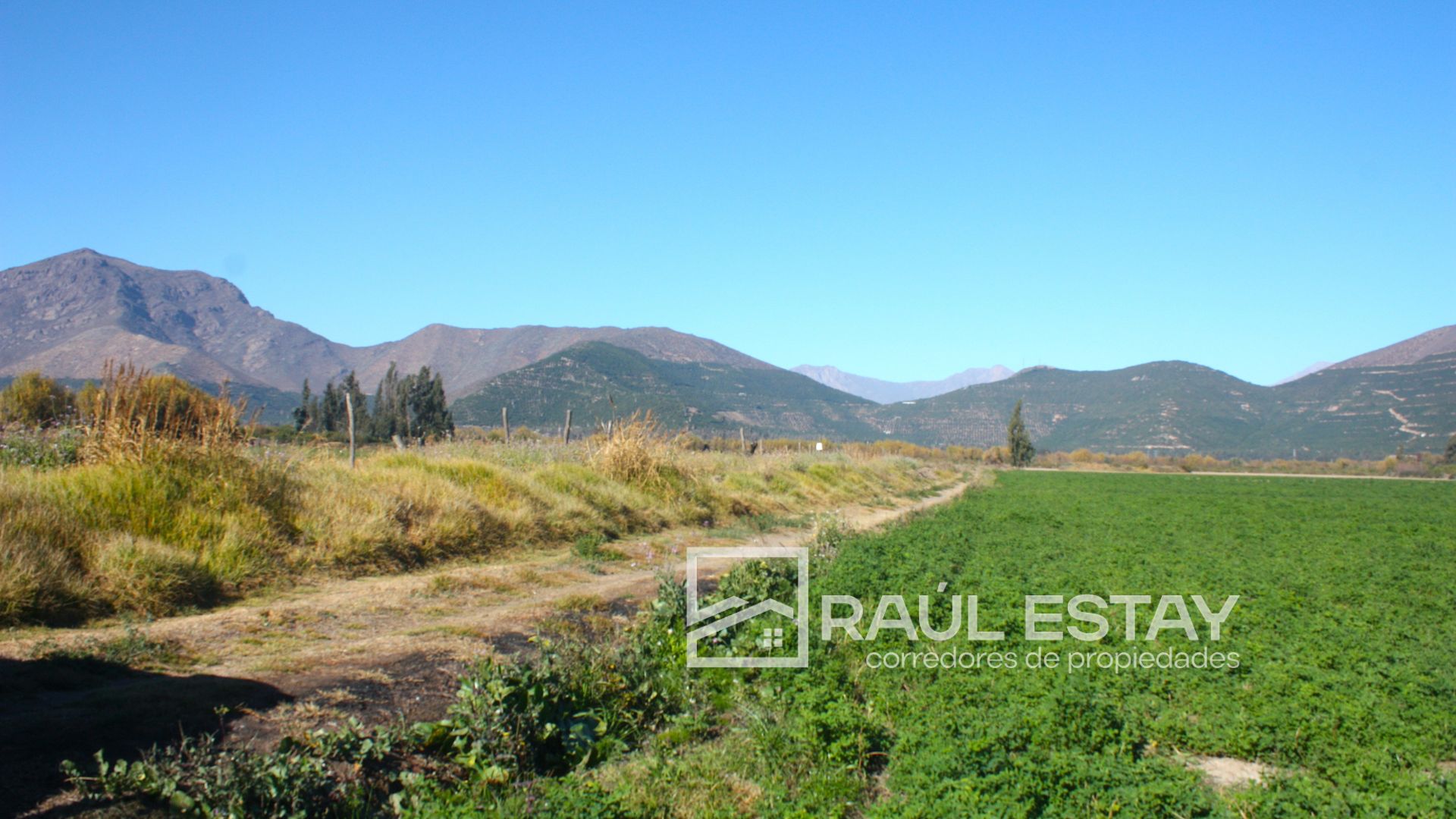 Parcela en venta en Catemu — foto 7