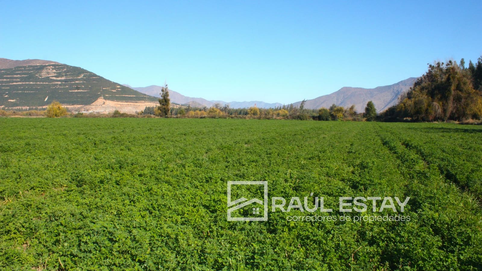 Parcela en venta en Catemu — foto 8