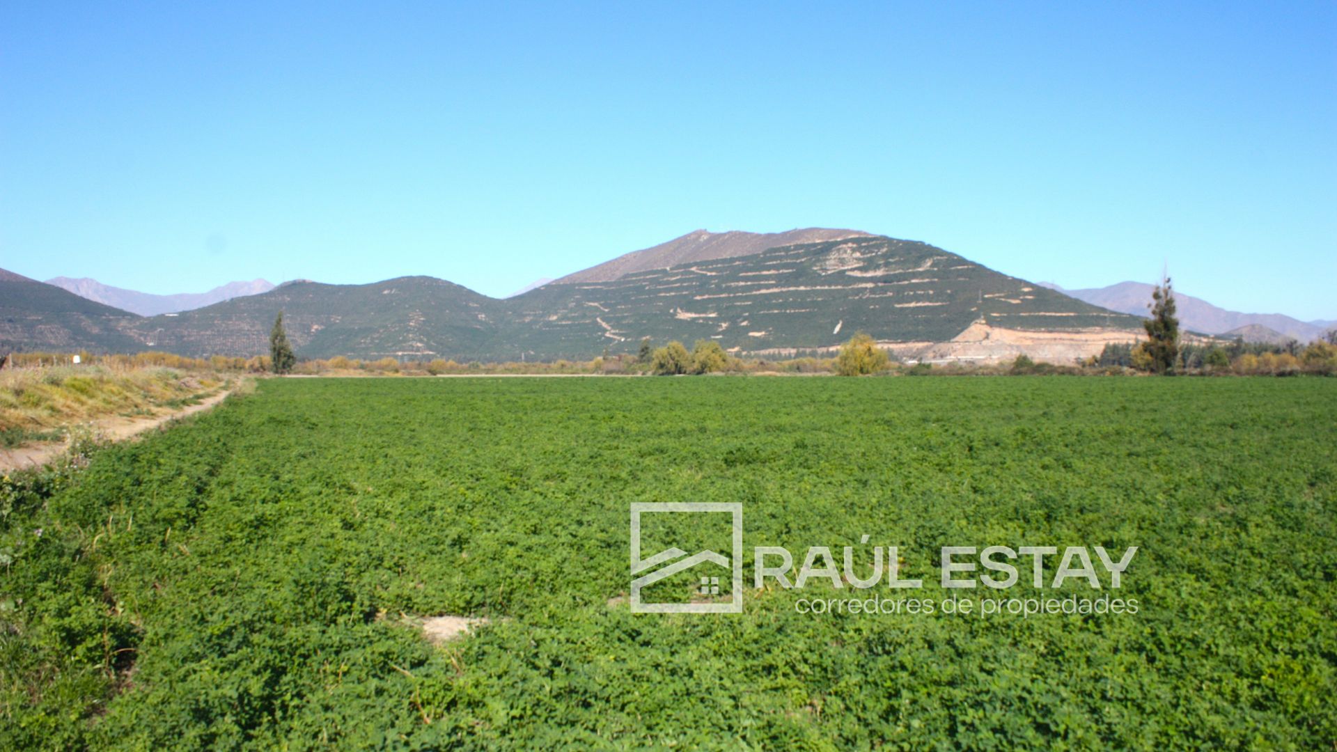 Parcela en venta en Catemu — foto 9