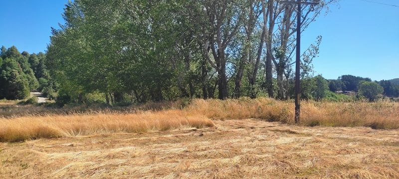 Parcela en arriendo en Los Lagos — foto 1