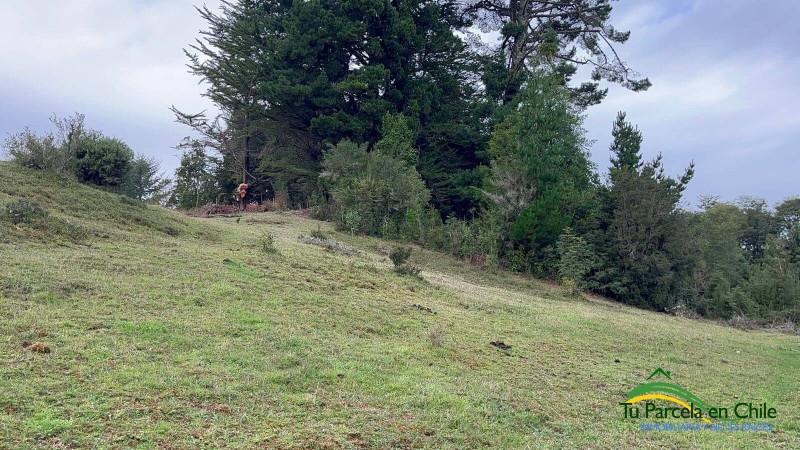 Parcela en venta en Puerto Montt — foto 6