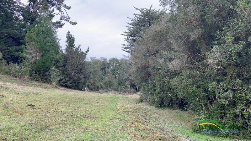 Parcela en venta en Puerto Montt — foto 7