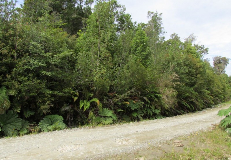 Parcela en venta en Chonchi — foto 6