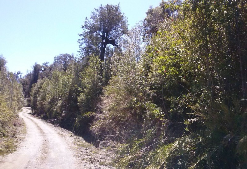 Parcela en venta en Chonchi — foto 8