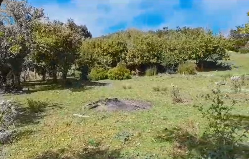 Parcela en venta en Hualaihué — foto 6