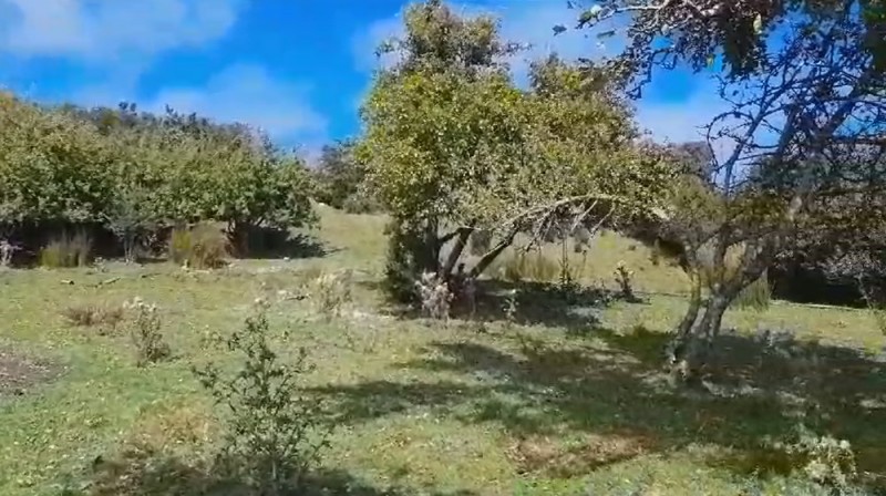 Parcela en venta en Hualaihué — foto 7