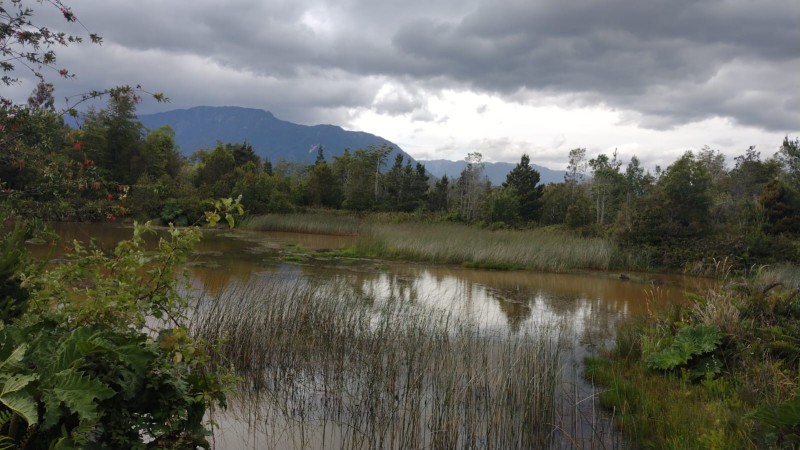 Parcela en venta en Puerto Varas — foto 2