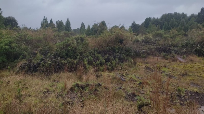 Parcela en venta en Puerto Montt — foto 5