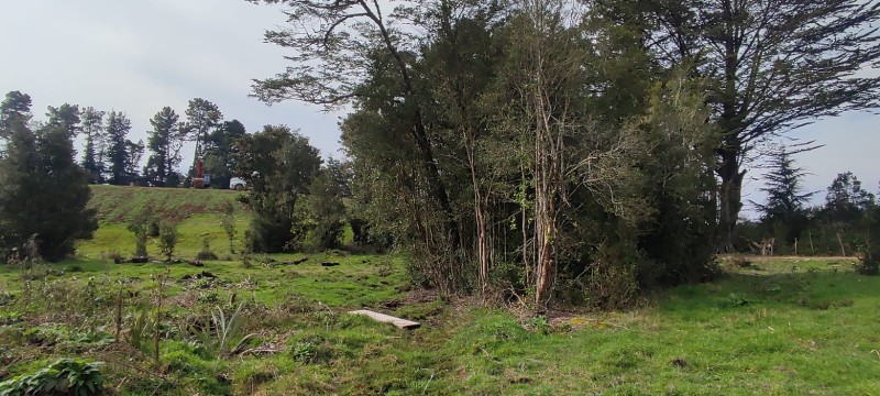 Parcela en venta en Puerto Montt — foto 3