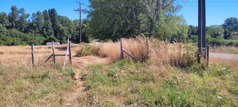 Parcela en arriendo en Valdivia — foto 2